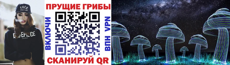Галлюциногенные грибы GOLDEN TEACHER  Купить где  Дальнегорск 